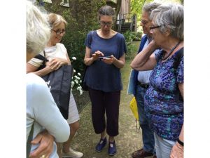 Les 5 Hortus in Delft